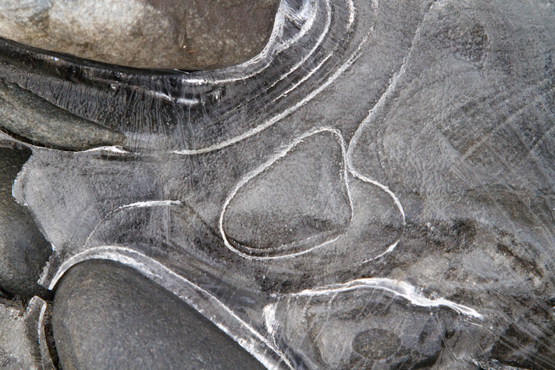 River Rocks Encased In Ice